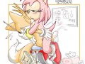 toon_1240061460639_35095_-_Amy_rose_Sonic_Team_Sonic_The_Hedgehog_Tails.jpg